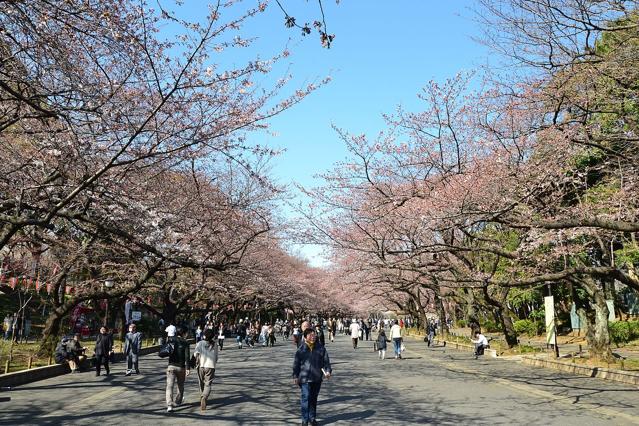 Ueno Park